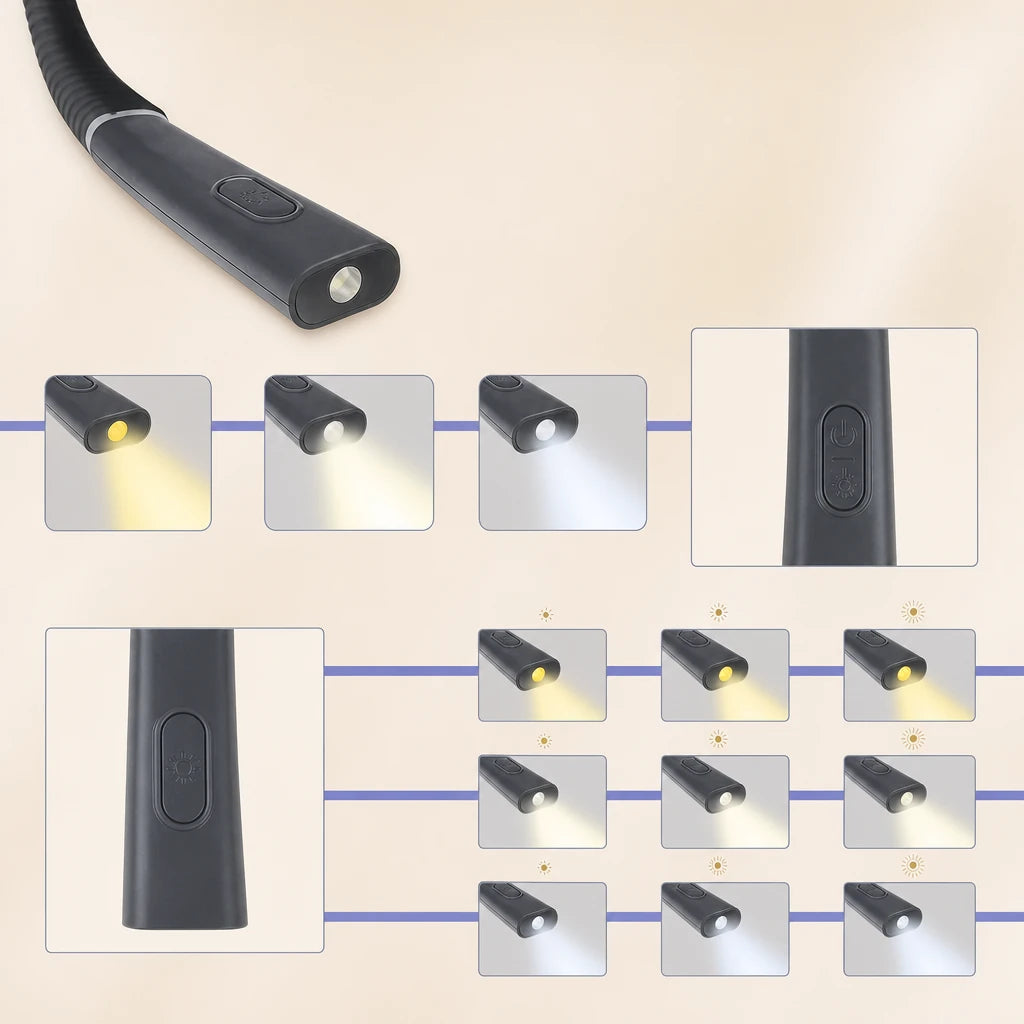 Présentation des trois températures de couleur et des neuf niveaux de luminosité de la lampe